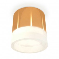 Комплект накладного светильника Ambrella light Techno Spot XS (C8121, N8401) XS8121010