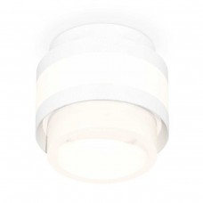 Комплект накладного светильника Ambrella light Techno Spot XS (C8418, N8401) XS8418001