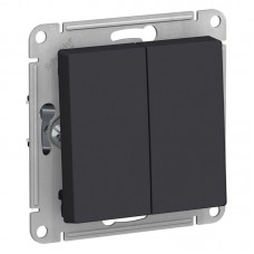 Переключатель двухклавишный проходной Schneider Electric AtlasDesign 10A 250V карбон ATN001065