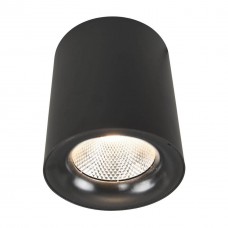 Потолочный светодиодный светильник Arte Lamp Facile A5118PL-1BK